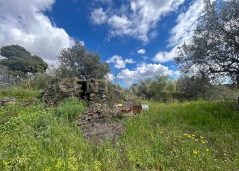 CAMPOROTONDO9.jpeg - Terreno edificabile Viale Giovanni Falcone 9, Camporotondo Etneo - foto 10