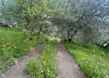 CAMPOROTONDO11.jpeg - Terreno edificabile Viale Giovanni Falcone 9, Camporotondo Etneo - foto 12