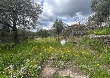 CAMPOROTONDO12.jpeg - Terreno edificabile Viale Giovanni Falcone 9, Camporotondo Etneo - foto 13