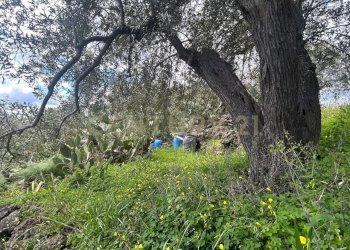 CAMPOROTONDO13.jpeg - Terreno edificabile Viale Giovanni Falcone 9, Camporotondo Etneo - foto 14