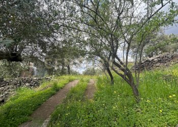 CAMPOROTONDO14.jpeg - Terreno edificabile Viale Giovanni Falcone 9, Camporotondo Etneo - foto 15
