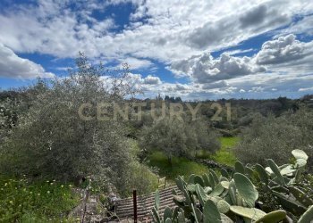 CAMPOROTONDO16.jpeg - Terreno edificabile Viale Giovanni Falcone 9, Camporotondo Etneo - foto 17