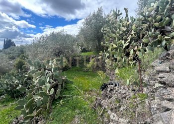 CAMPOROTONDO17.jpeg - Terreno edificabile Viale Giovanni Falcone 9, Camporotondo Etneo - foto 18