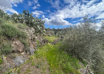 CAMPOROTONDO18.jpeg - Terreno edificabile Viale Giovanni Falcone 9, Camporotondo Etneo - foto 19