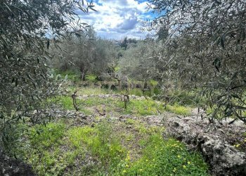 CAMPOROTONDO20.jpeg - Terreno edificabile Viale Giovanni Falcone 9, Camporotondo Etneo - foto 21