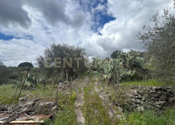 CAMPOROTONDO23.jpeg - Terreno edificabile Viale Giovanni Falcone 9, Camporotondo Etneo - foto 24