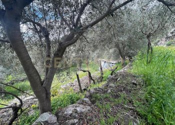 CAMPOROTONDO25.jpeg - Terreno edificabile Viale Giovanni Falcone 9, Camporotondo Etneo - foto 26