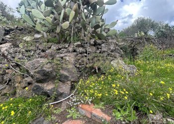 CAMPOROTONDO26.jpeg - Terreno edificabile Viale Giovanni Falcone 9, Camporotondo Etneo - foto 27