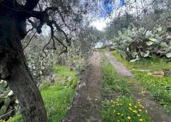 CAMPOROTONDO27.jpeg - Terreno edificabile Viale Giovanni Falcone 9, Camporotondo Etneo - foto 28