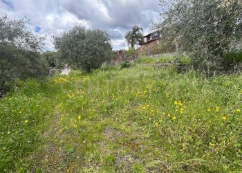 CAMPOROTONDO29.jpeg - Terreno edificabile Viale Giovanni Falcone 9, Camporotondo Etneo - foto 30