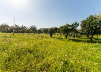 Terreno La Punta (13).jpg - Terreno edificabile Viale Andrea Doria 2, San Giovanni la Punta - foto 14