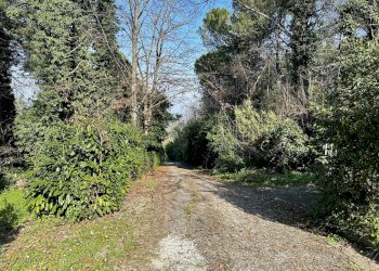 IR - Casale Via Vicinale Santa Lucia, Cesena - photo 12