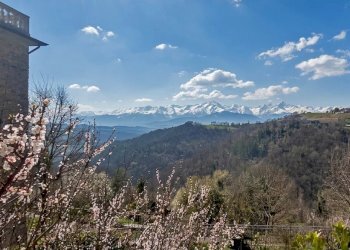 Villa Bossolasco - foto 30