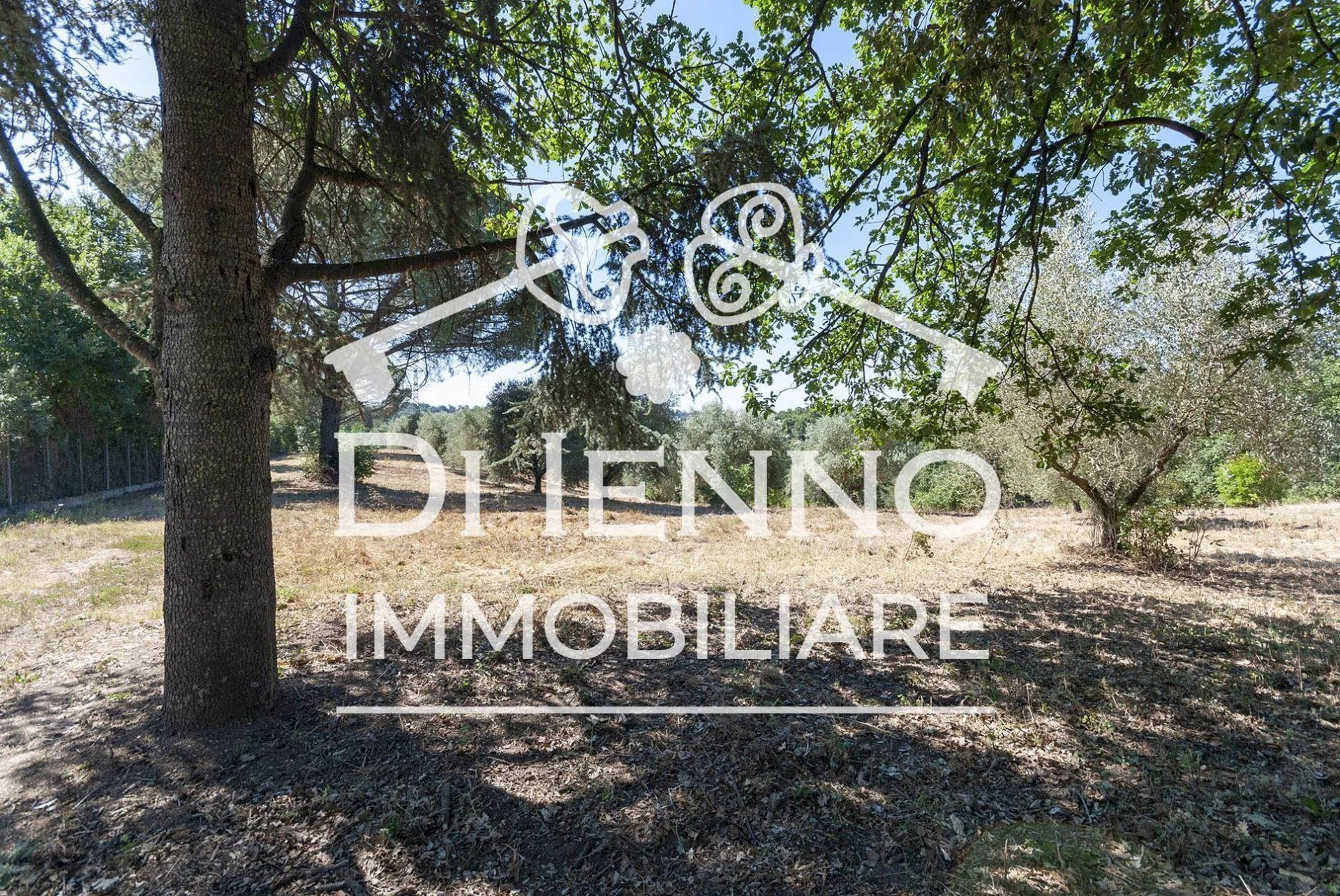 Agricultural land Via Mapello, Roma - photo 3