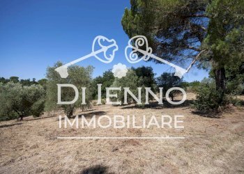 Terreno agricolo Via Mapello, Roma - foto 1