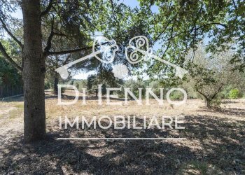 Terreno agricolo Via Mapello, Roma - foto 3