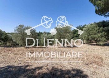 Terreno agricolo Via Mapello, Roma - foto 6