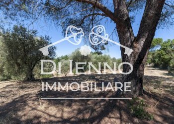 Terreno agricolo Via Mapello, Roma - foto 7