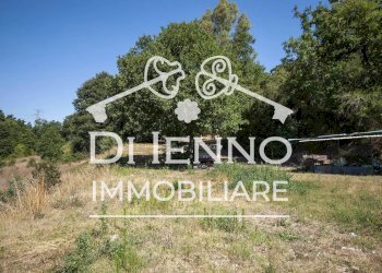 Terreno agricolo Via Mapello, Roma - foto 13