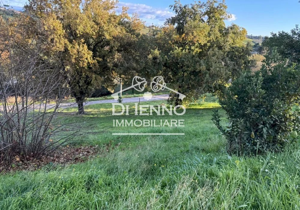 Terreno agricolo Morlupo, Morlupo - foto 1