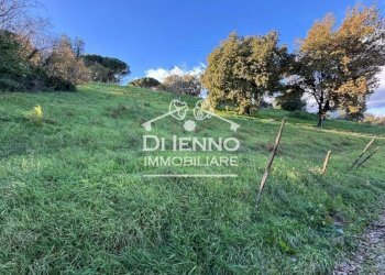 Terreno agricolo Morlupo, Morlupo - foto 4