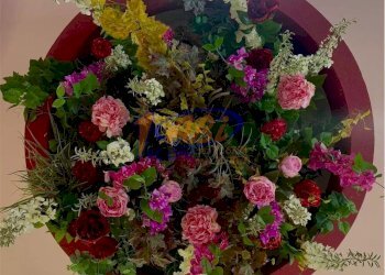 Negozio Lanciano - foto 8