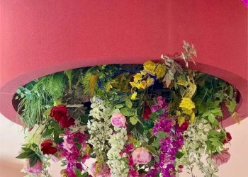 Negozio Lanciano - foto 9