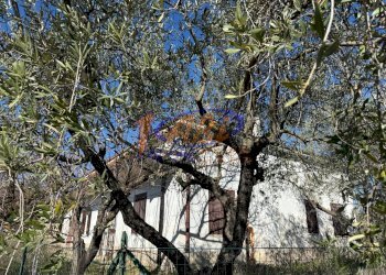 Terratetto - Terracielo Contrada Fonte Santa Maria, Poggiofiorito - foto 4