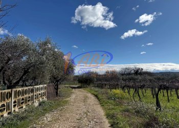 Terratetto - Terracielo Contrada Fonte Santa Maria, Poggiofiorito - foto 22