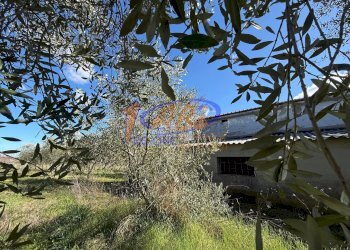 Terratetto - Terracielo Contrada Fonte Santa Maria, Poggiofiorito - foto 26