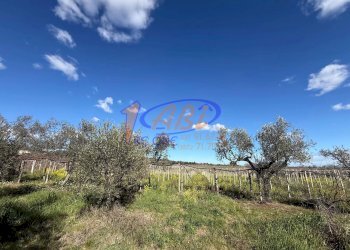 Terratetto - Terracielo Contrada Fonte Santa Maria, Poggiofiorito - foto 29