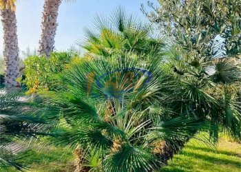 Villa via della fontana, Treglio - foto 5