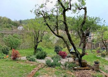 Villa Via Giovanni Pascoli, Serravalle Scrivia - foto 10