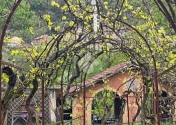 Villa Via Giovanni Pascoli, Serravalle Scrivia - foto 12