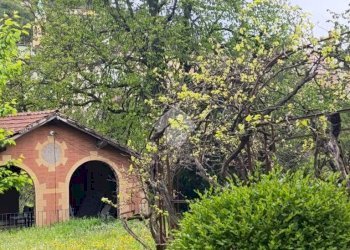 Villa Via Giovanni Pascoli, Serravalle Scrivia - foto 13