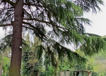 Villa Via Giovanni Pascoli, Serravalle Scrivia - foto 35