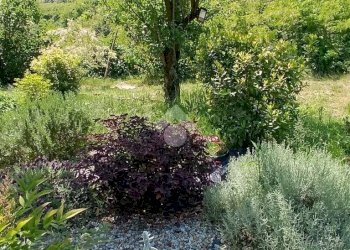 Villa Via Giovanni Pascoli, Serravalle Scrivia - foto 37