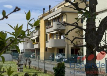 Trilocale Forlì - foto 1