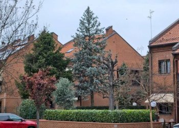 Villa Modena - foto 1