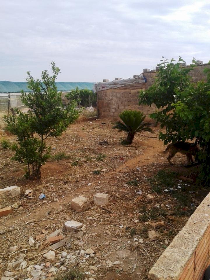 Casa indipendente contrada Bruffalori, Scicli - foto 3