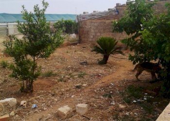 Casa indipendente contrada Bruffalori, Scicli - foto 3