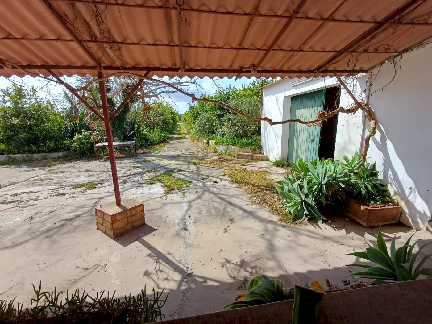 Casale Contrada Puzzi, Avola - foto 3