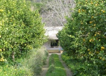 Casale Contrada Puzzi, Avola - foto 21