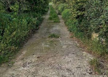 Casale Contrada Puzzi, Avola - foto 23