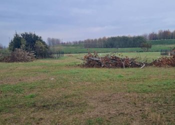 Villa Bifamiliare Calderara di Reno - foto 3