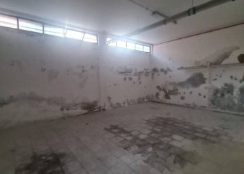 Stable - Palace Bologna - photo 9