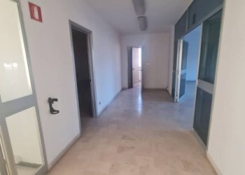 Stable - Palace Bologna - photo 16