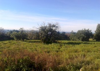 Agricultural land contrada Raspullo, Scicli - photo 1