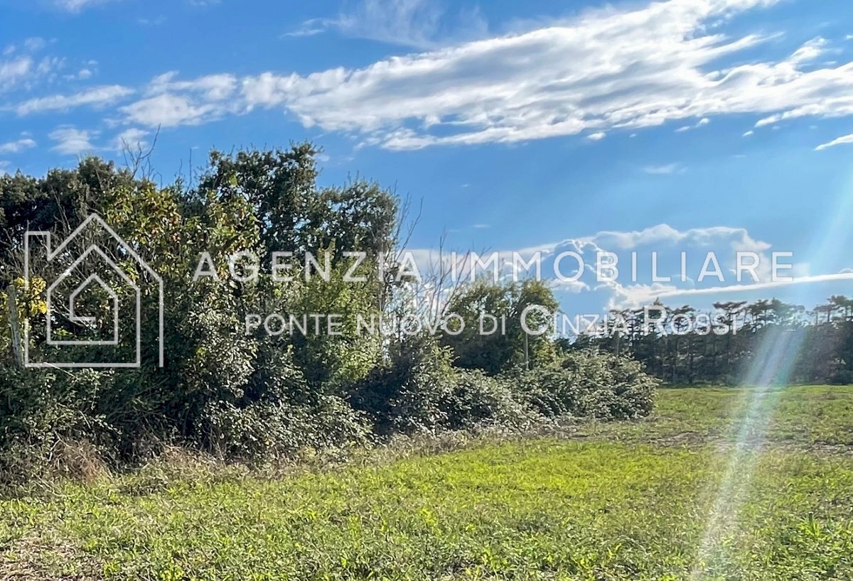 Terreno edificabile Ravenna (zona Lido di Classe) - foto 2