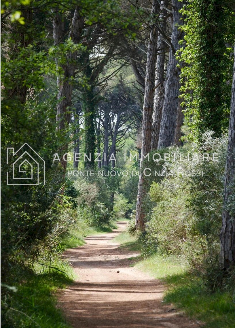 Terreno edificabile Ravenna (zona Lido di Classe) - foto 3